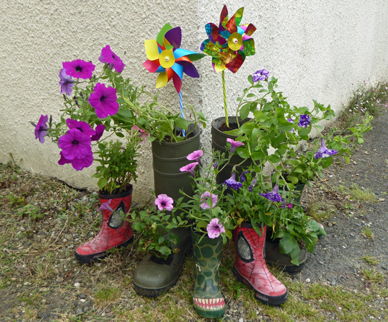 Collection of Wellies
